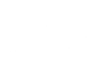 logo of talent trace nsultancy
